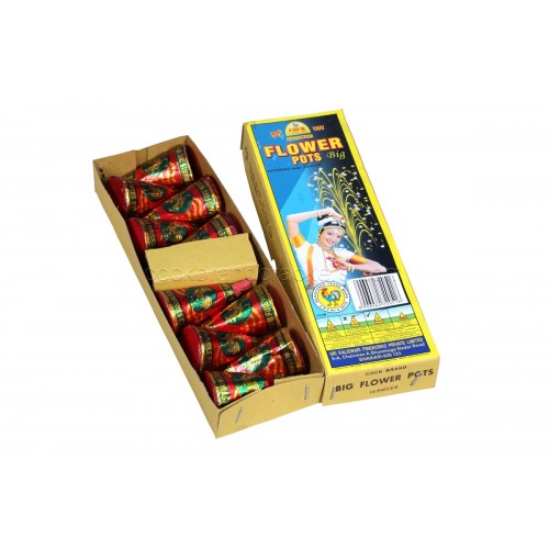 Big Flower Pots (10Nos) (1BX)