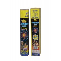 Fancy Aerial Medium Single Shooter